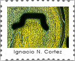 mail art project- Schegge d'arte - Ignacio N. Cortez