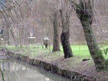 Cavana di Villa Foscari detta della Malcontenta