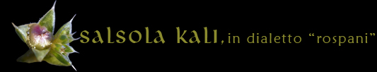 salsola kali